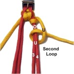 Second Loop