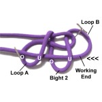Loop B