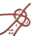 Loop 3