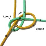 Loop 2