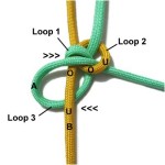 Loop 3