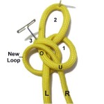 Loop 4