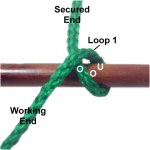 Loop 1
