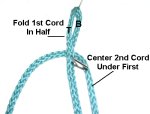 First and Second Cords