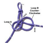 Loop B