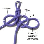 Loop C