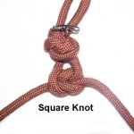 Square Knot