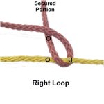 Right Loop