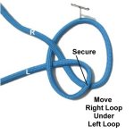 Move Loop