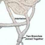 Intertwine Branches