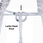 Larks Head