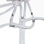Cord 3