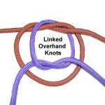 Linked OH Knots
