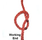 End Through Loop
