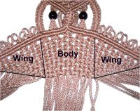 Body and Wings