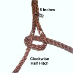 Half Hitch