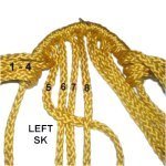 Left SK