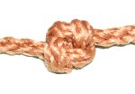 Completed Knot