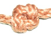 Oysterman Knot