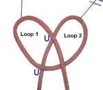 Second Loop Under First