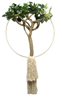 Tree Decoration