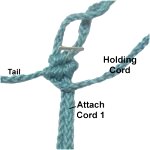 Cord 1