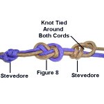 Stevedore