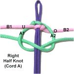 Cord A