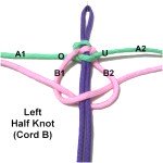 Cord B
