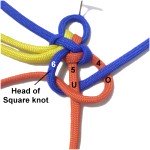Cord 6