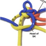 Cord 1