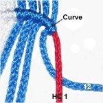 Curve