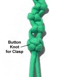 Clasp