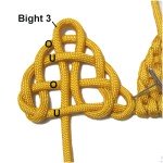 Bight 3