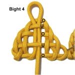 Bight 4