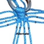 Alternate