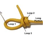 Loop 3