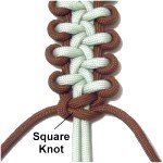 Square knot