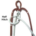 Half Hitch