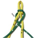 Cord 1