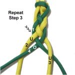 Cord 1