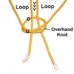 Loops