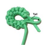 Tail
