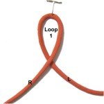 Loop 1