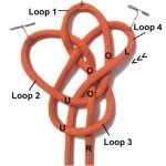 Loop 4