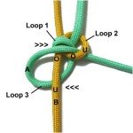 Loop 3