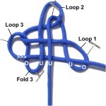 Loop 3