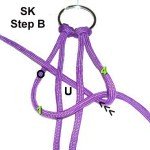 Step B