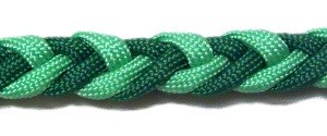Lizard Tail