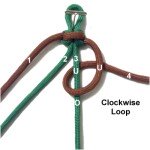 Loop 1
